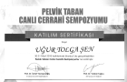 Op. Dr. Uğur Tolga Şen Üroloji sertifikası