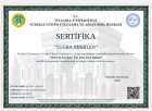 Psk. Tuğba Birbilen Psikoloji sertifikası