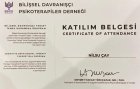 Psk. Dan. Nilsu Çay Psikolojik Danışman sertifikası