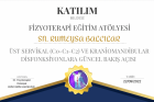 Fzt. Rumeysa Balcılar Fizyoterapi sertifikası