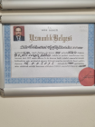 Op. Dr. Ali Cengiz Muhtar Üroloji sertifikası
