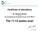 Op. Dr. Semavi Ulusoy Kadın Hastalıkları ve Doğum sertifikası