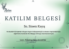 Psk. Sinem Kayış Psikoloji sertifikası