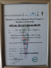 Uzm. Dr. Mutlu Ece İşgüzar Akupunktur sertifikası