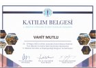 Op. Dr. Vahit Mutlu Genel Cerrahi sertifikası