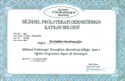 Uzm. Dr. Hatice Hacıbeyoğlu Fiziksel Tıp ve Rehabilitasyon sertifikası