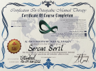 Fzt. Sercan Sevil Fizyoterapi sertifikası