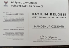 Psk. Dan. Handenur Özdemir Psikolojik Danışman sertifikası