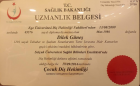 Dr. Dt. Dilek Uysal Güneş Diş Hekimi sertifikası