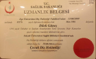 Uzm. Dr. Dt. Dilek Uysal Güneş Diş Hekimi sertifikası