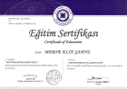 Klinik Psikolog  Merve Elif Şahne Klinik Psikolog sertifikası