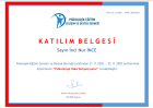 Psk. İnci Nur İnce Çapanoğlu Psikoloji sertifikası