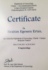 Doç. Dr. İbrahim Egemen Ertaş Kadın Hastalıkları ve Doğum sertifikası