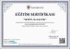 Psk. Derya Alageyik Psikoloji sertifikası