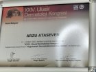 Prof. Dr. Arzu Ataseven Dermatoloji sertifikası