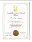 Op. Dr. Cem Aykent Genel Cerrahi sertifikası
