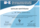 Prof. Dr. İsmail Şerifoğlu Girişimsel Radyoloji sertifikası