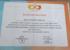 Psk. Dan. Mustafa Derviş Akpınar Psikolojik Danışman sertifikası