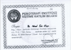 Klinik Psikolog  Mehmet Emin Kızgın Psikoloji sertifikası