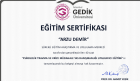 Psk. Arzu Demir Psikoloji sertifikası
