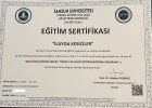 Psk. İlayda Kesiciler Psikoloji sertifikası