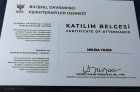 Psk. Melisa Yıldız Psikoloji sertifikası