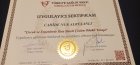 Psk. Cahide Nur Akyol Psikoloji sertifikası