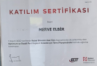 Dt. Merve Elbir Diş Hekimi sertifikası
