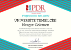 Psk. Dan. Nergiz Gökmen Psikolojik Danışman sertifikası