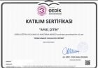 Klinik Psikolog  Aysel Çetin Psikoloji sertifikası