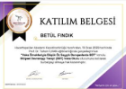 Aile Danışmanı Betül Fındık Aile Danışmanı sertifikası