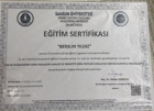 Psk. Bersun Demir Psikoloji sertifikası