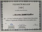 Uzm. Psk. Selman Şerbetçioğlu Psikoloji sertifikası