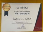 Op. Dr. Ayşegül Kaya Kadın Hastalıkları ve Doğum sertifikası