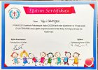 Uzm. Psk. Toğrul Salamzade Psikoloji sertifikası