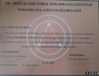 Psk. Dan. Melike Doruk Metin Psikolojik Danışman sertifikası