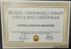 Uzm. Psk. Dan. Ceyda Gizem Karadere Psikolojik Danışman sertifikası