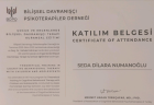 Klinik Psikolog  Dilara Numanoglu Psikoloji sertifikası