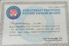 Prof. Dr. Birol Alver Psikolojik Danışman sertifikası
