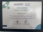 Klinik Psikolog  Hediye Aydın Psikoloji sertifikası