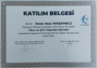 Psk. Beste Nida Perşembeli Psikoloji sertifikası