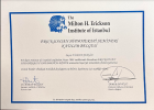 Uzm. Dr. Vildan Şengöz Dermatoloji sertifikası