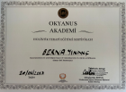 Uzm. Dr. Berna Yinanç Diğer sertifikası