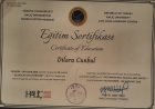 Dyt. Dilara Cunbul Diyetisyen sertifikası