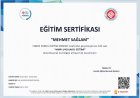 Psk. Dan. Mehmet Sağlam Psikolojik Danışman sertifikası