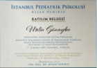 Psk. Metin Günaydın Psikoloji sertifikası