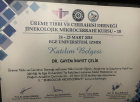 Op. Dr. Gayem İnayet Turgay Kadın Hastalıkları ve Doğum sertifikası