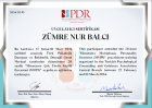 Psk. Dan. Zümre Nur Balcı Psikolojik Danışman sertifikası