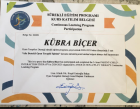 Klinik Psikolog  Kübra Biçer Gürel Klinik Psikolog sertifikası