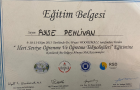 Psk. Ayşe Asiltürk Psikoloji sertifikası